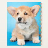 Niedliche Kleintiere | Corgi Puppy auf blau Planer (Rückseite)