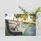 Niedliche Kleintiere | Corgi Puppy auf einer Parkb Dankeskarte (Stehend Vorderseite)