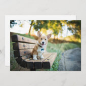 Niedliche Kleintiere | Corgi Puppy auf einer Parkb Dankeskarte (Vorne/Hinten)