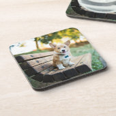 Niedliche Kleintiere | Corgi Puppy auf einer Parkb Getränkeuntersetzer (Linke Seite)