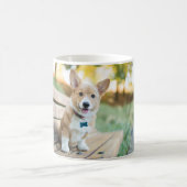 Niedliche Kleintiere | Corgi Puppy auf einer Parkb Kaffeetasse (Mittel)