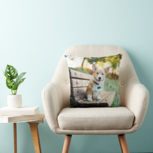 Niedliche Kleintiere Corgi Puppy auf einer Parkb Kissen
