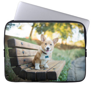 Niedliche Kleintiere   Corgi Puppy auf einer Parkb Laptopschutzhülle