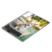 Niedliche Kleintiere | Corgi Puppy auf einer Parkb Notizblock (Linke Seite)