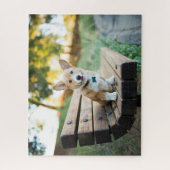 Niedliche Kleintiere | Corgi Puppy auf einer Parkb Puzzle (Vertikal)