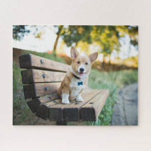 Niedliche Kleintiere   Corgi Puppy auf einer Parkb Puzzle