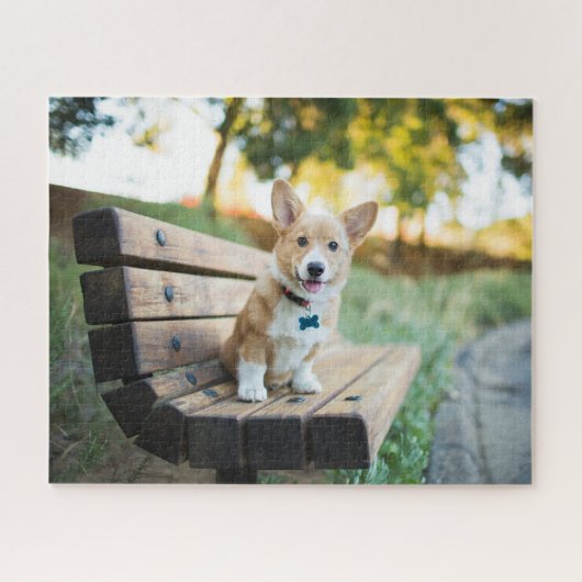 Niedliche Kleintiere | Corgi Puppy auf einer Parkb Puzzle (Horizontal)