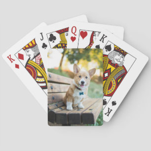 Niedliche Kleintiere   Corgi Puppy auf einer Parkb Spielkarten