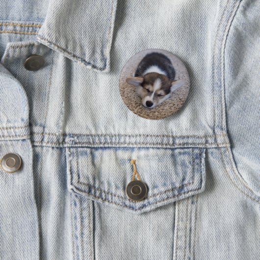 Niedliche Kleintiere | Corgi Puppy auf Shag Rug Button (Beispiel)