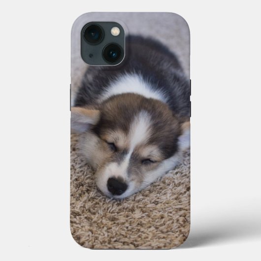 Niedliche Kleintiere | Corgi Puppy auf Shag Rug Case-Mate iPhone Hülle (Rückseite)