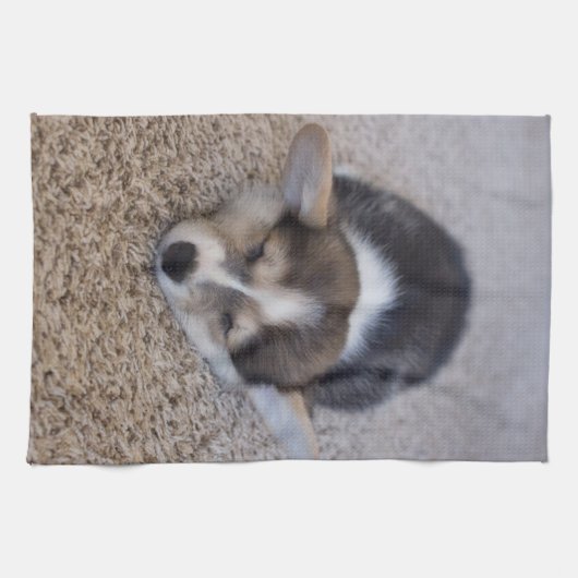 Niedliche Kleintiere | Corgi Puppy auf Shag Rug Geschirrtuch (Horizontal)