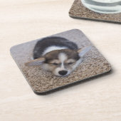 Niedliche Kleintiere | Corgi Puppy auf Shag Rug Getränkeuntersetzer (Linke Seite)