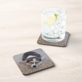 Niedliche Kleintiere | Corgi Puppy auf Shag Rug Getränkeuntersetzer (Rechte Seite)