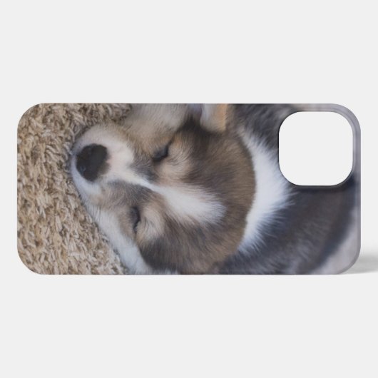 Niedliche Kleintiere | Corgi Puppy auf Shag Rug iPhone Hülle (Rückseite (Horizontal))