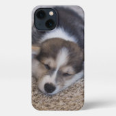 Niedliche Kleintiere | Corgi Puppy auf Shag Rug iPhone Hülle (Rückseite)