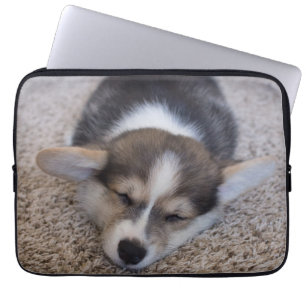 Niedliche Kleintiere   Corgi Puppy auf Shag Rug Laptopschutzhülle