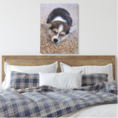 Niedliche Kleintiere | Corgi Puppy auf Shag Rug Leinwanddruck (Insitu (Schlafzimmer))