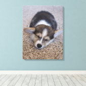 Niedliche Kleintiere | Corgi Puppy auf Shag Rug Leinwanddruck (Insitu (Holzboden))