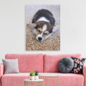 Niedliche Kleintiere | Corgi Puppy auf Shag Rug Leinwanddruck (Insitu (Wohnzimmer))