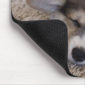 Niedliche Kleintiere | Corgi Puppy auf Shag Rug Mousepad (Ecke)