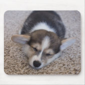 Niedliche Kleintiere | Corgi Puppy auf Shag Rug Mousepad (Vorne)