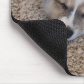 Niedliche Kleintiere | Corgi Puppy auf Shag Rug Mousepad (Ecke)