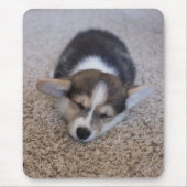 Niedliche Kleintiere | Corgi Puppy auf Shag Rug Mousepad (Vorne)