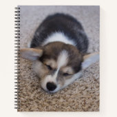Niedliche Kleintiere | Corgi Puppy auf Shag Rug Notizblock (Vorderseite)