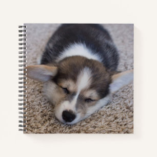 Niedliche Kleintiere Corgi Puppy auf Shag Rug Notizblock