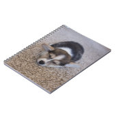 Niedliche Kleintiere | Corgi Puppy auf Shag Rug Notizblock (Linke Seite)