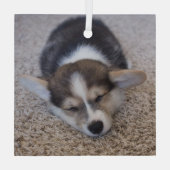 Niedliche Kleintiere | Corgi Puppy auf Shag Rug Ornament Aus Glas (Rückseite)