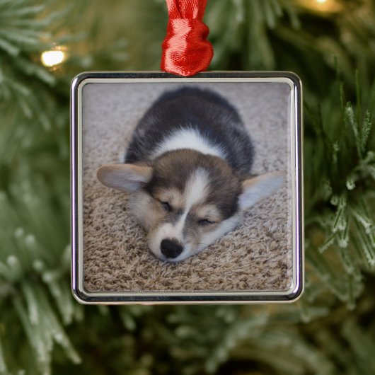 Niedliche Kleintiere | Corgi Puppy auf Shag Rug Ornament Aus Metall (Baum)