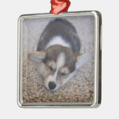 Niedliche Kleintiere | Corgi Puppy auf Shag Rug Ornament Aus Metall (Links)