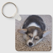 Niedliche Kleintiere | Corgi Puppy auf Shag Rug Schlüsselanhänger (Vorderseite)