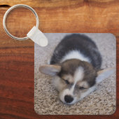 Niedliche Kleintiere | Corgi Puppy auf Shag Rug Schlüsselanhänger (Vorderseite)