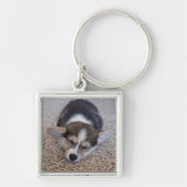 Niedliche Kleintiere | Corgi Puppy auf Shag Rug Schlüsselanhänger (Vorne)