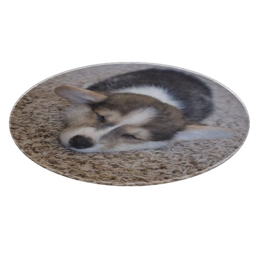 Niedliche Kleintiere | Corgi Puppy auf Shag Rug Schneidebrett (Ecke)