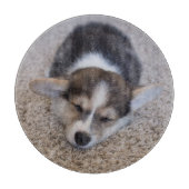 Niedliche Kleintiere | Corgi Puppy auf Shag Rug Schneidebrett (Vorderseite)