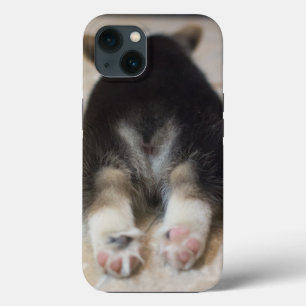Niedliche Kleintiere   Corgi Puppy Behind Case-Mate iPhone Hülle
