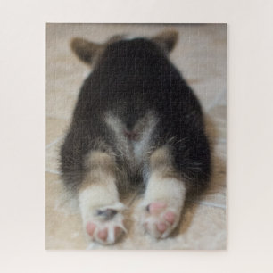 Niedliche Kleintiere Corgi Puppy Behind Puzzle