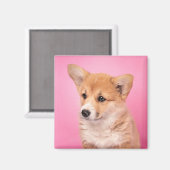 Niedliche Kleintiere | Corgi Puppy in Pink Magnet (Vorderseite/Rückseite)