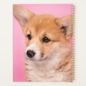 Niedliche Kleintiere | Corgi Puppy in Pink Planer (Rückseite)