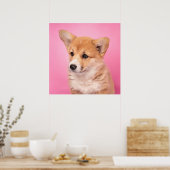 Niedliche Kleintiere | Corgi Puppy in Pink Poster (Küche)