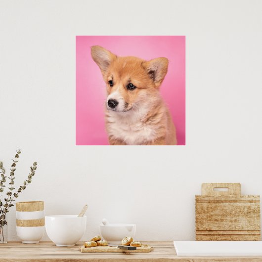 Niedliche Kleintiere | Corgi Puppy in Pink Poster (Küche)