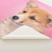 Niedliche Kleintiere | Corgi Puppy in Pink Sherpadecke (3/4)