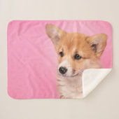 Niedliche Kleintiere | Corgi Puppy in Pink Sherpadecke (Vorderseite (Horizontal))