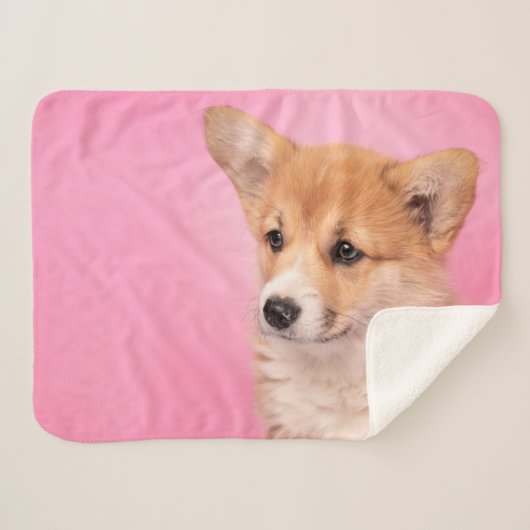 Niedliche Kleintiere | Corgi Puppy in Pink Sherpadecke (Vorderseite (Horizontal))