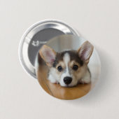 Niedliche Kleintiere | Corgi Puppy Looking Button (Vorne & Hinten)