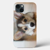 Niedliche Kleintiere | Corgi Puppy Looking Case-Mate iPhone Hülle (Rückseite)