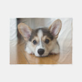 Niedliche Kleintiere | Corgi Puppy Looking Fleecedecke (Vorderseite (Horizontal))